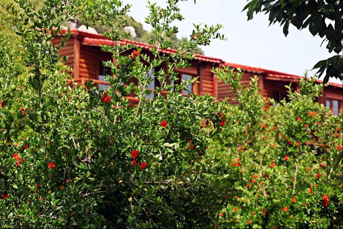 Kas Doga Park Hotel Exterior foto