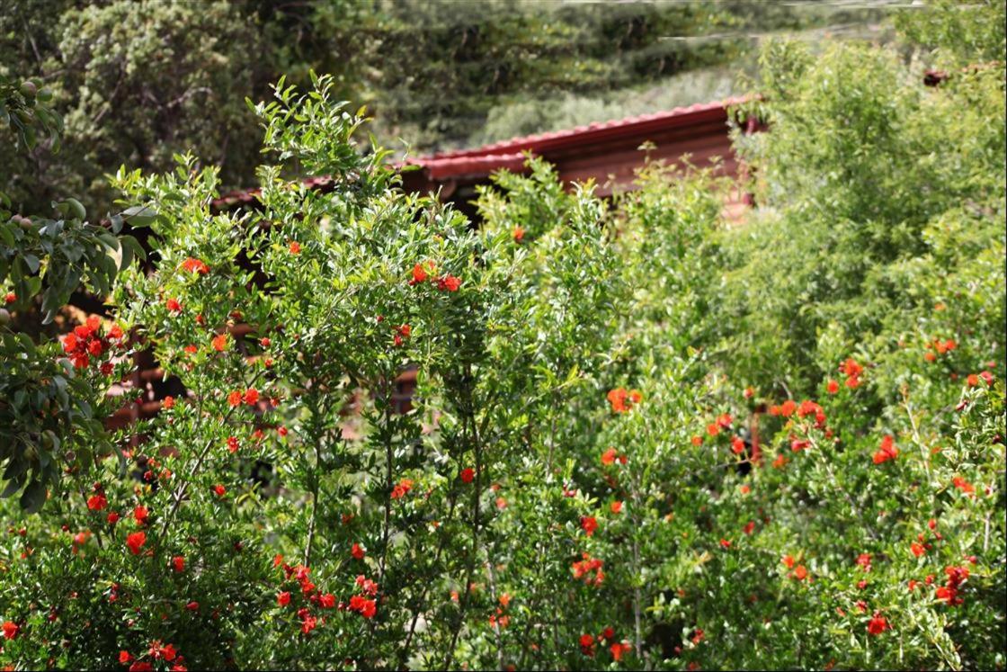 Kas Doga Park Hotel Exterior foto